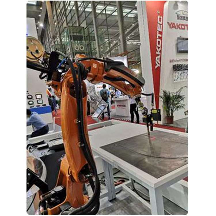 6-Axis Industrial Robotic Arm  - Robot Gripper recension och pris